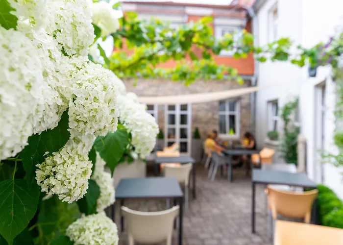 Am Torturm Hotel 3*